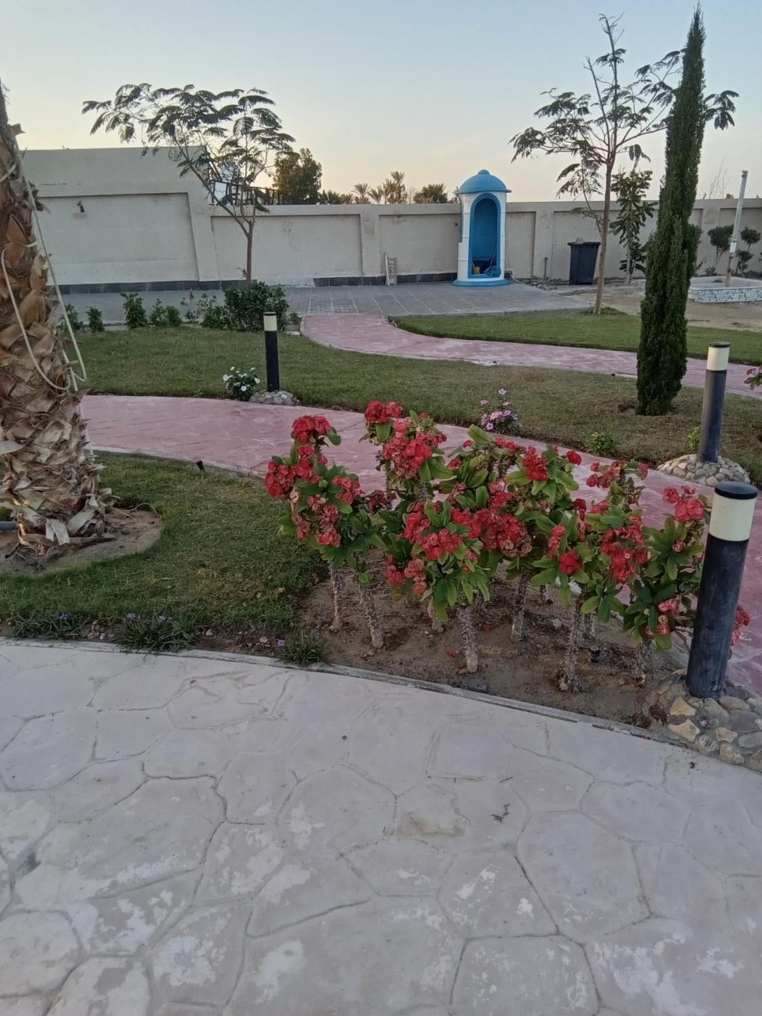 Aparthotel Casablanca Beach For Families And Couples Only Hurghada Exteriér fotografie